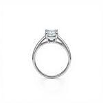 1.00 Carat Emerald Cut Diamond Engagement Ring - Adorn By You - Timeless Elegance